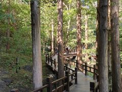 -国家植物园南园