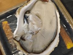 -海胆小馆(东北水饺·春柳店)