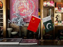 -Sultan pakistan苏单巴基斯坦