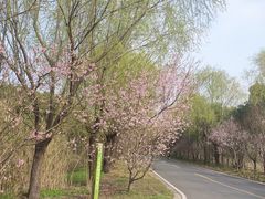 -同里国家湿地公园