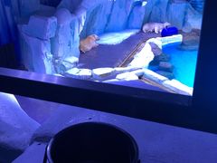 -上海海昌海洋公园-停车场