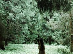 -武陵山森林公园