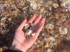 -西涌国际滨海旅游区