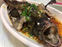 葱油石斑鱼-渔中舟海鲜大排档(普陀沈家门店)