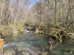 -叠溪松坪沟景区