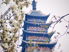 -常熟方塔园