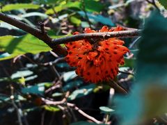 -峄山风景名胜区