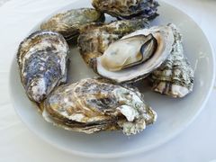 -渔民船说·北塘海鲜·天津菜·海肠捞饭(北塘古镇店)
