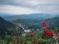 -凤栖山