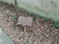 -上海佘山国家森林公园西佘山园