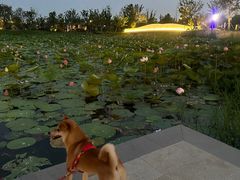 -庆江南江南菜(琴湖溪里花园城店)