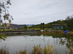 -深圳大学(丽湖校区)