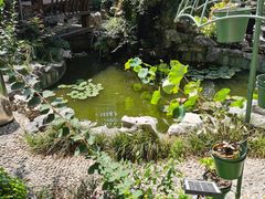 -漫渡庄绿岛花园•隐世庭园菜(滨湖店)