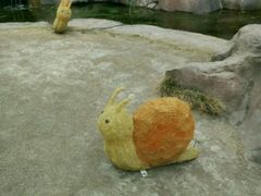 -秀丽东方