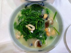 上汤豌豆芽-东兴楼饭庄(六里桥店)
