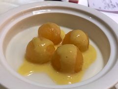 鲜果杏仁豆腐-广州塔晖粤轩中餐厅