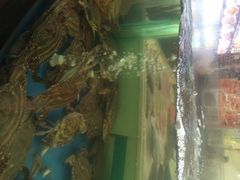 金沙滩海鲜酒楼-金沙滩海鲜餐厅(梅江龙水园店)