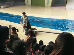 -长隆海洋王国-海洋大街餐厅