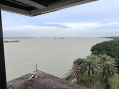 -大湾区中央湿地公园
