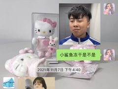 -宠物之家Pets Home 宠物寄养酒店