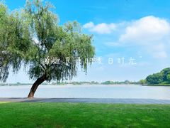 -上海月湖雕塑公园