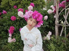 -曹州牡丹园