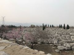 -原山国家森林公园