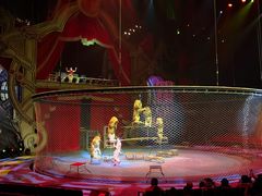 -珠海横琴长隆《卡卡虎奇遇记》