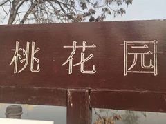 -桃花堤公园