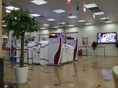 -中国银行(上海市浦东分行营业部)