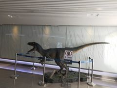-金逸影城(荟聚IMAX激光店)