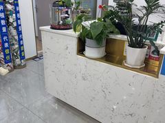 -启辰口腔(南坪店)