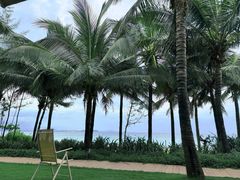 -味餐厅·海鲜·火锅·自助餐