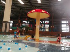 -南宫温泉水世界