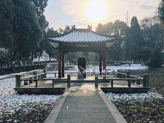 -古隆中景区