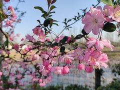 -上海辰山植物园