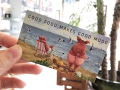 -WHEN PIGS FLY当猪飞