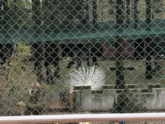 -南京金牛湖风景区