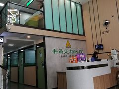-半岛宠物医院24小时(科华中路店)