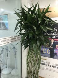 -悟空祛痘·诺奖技术专业店