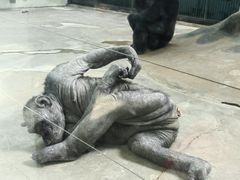 -石家庄市动物园