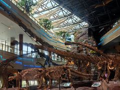 -安徽省地质博物馆