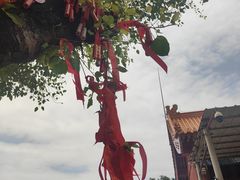 -南国桃园旅游度假区