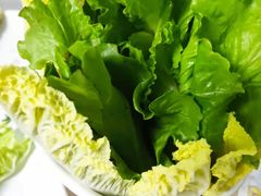 -墨脱石锅椰子鸡•香草鸭•东山羊(大东海店)