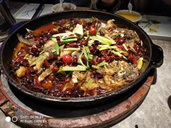 老板恋上鱼-老板恋上鱼(恒隆广场店)