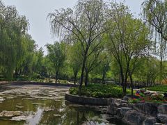 -太阳宫公园