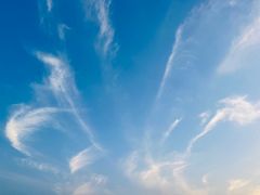 -海上花岛玫瑰园采摘