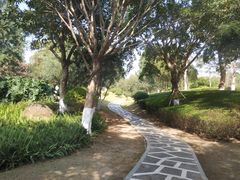-八仙山公园