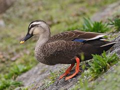 -古宇湖风景名胜区