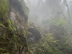 -莫干山风景区